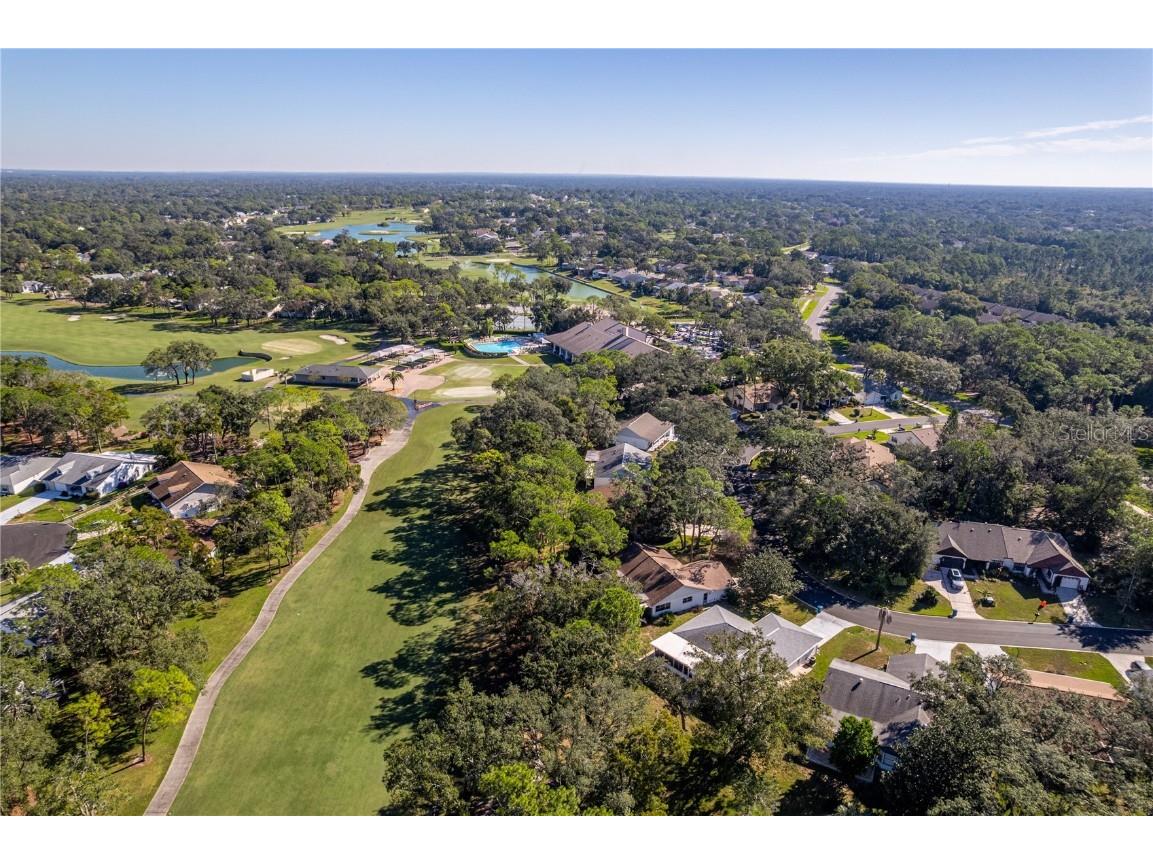 2193 Timber Lodge Lane Spring Hill FL 34606 W7880432 image46