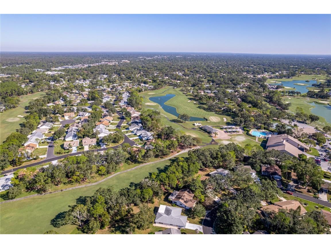 2193 Timber Lodge Lane Spring Hill FL 34606 W7880432 image48