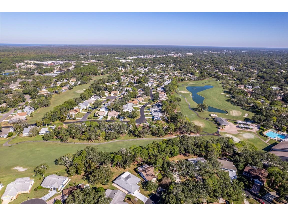 2193 Timber Lodge Lane Spring Hill FL 34606 W7880432 image52