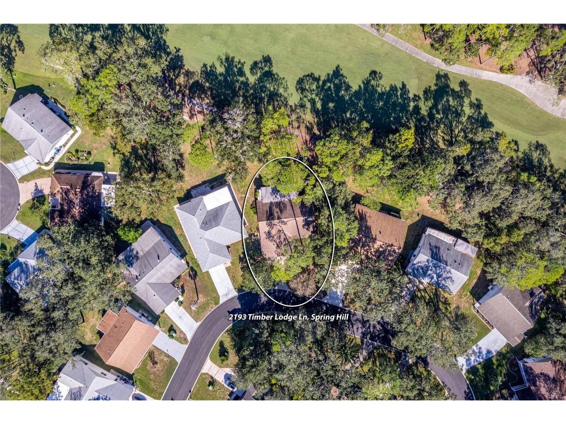 2193 Timber Lodge Lane Spring Hill FL 34606 W7880432 image56