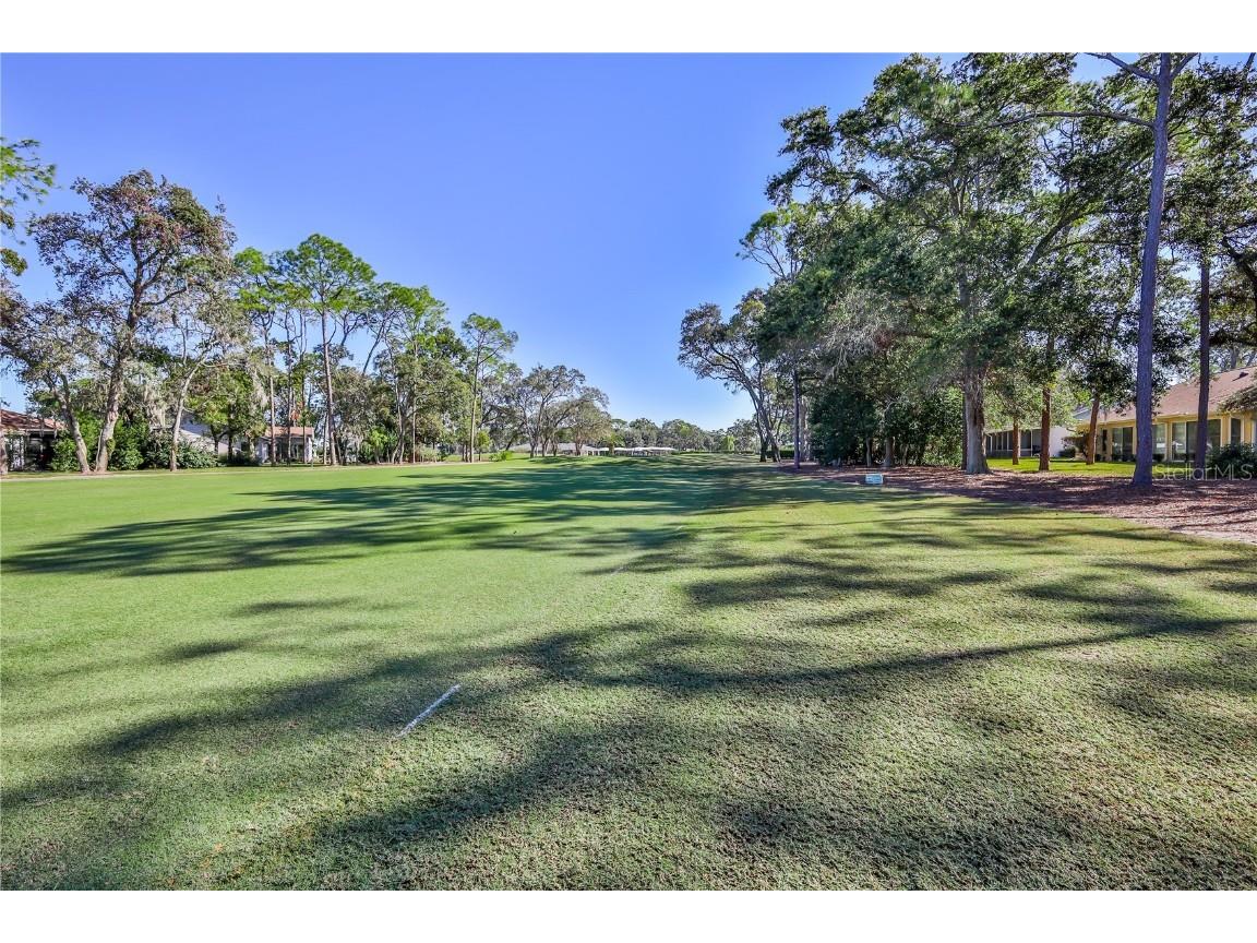 2193 Timber Lodge Lane Spring Hill FL 34606 W7880432 image59