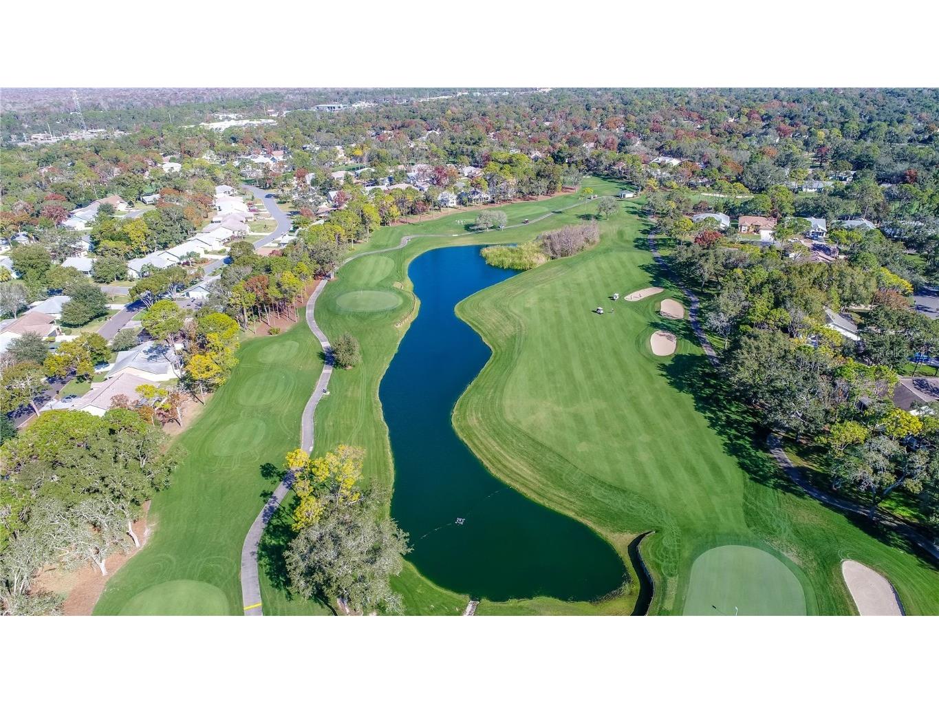 2193 Timber Lodge Lane Spring Hill FL 34606 W7880432 image71