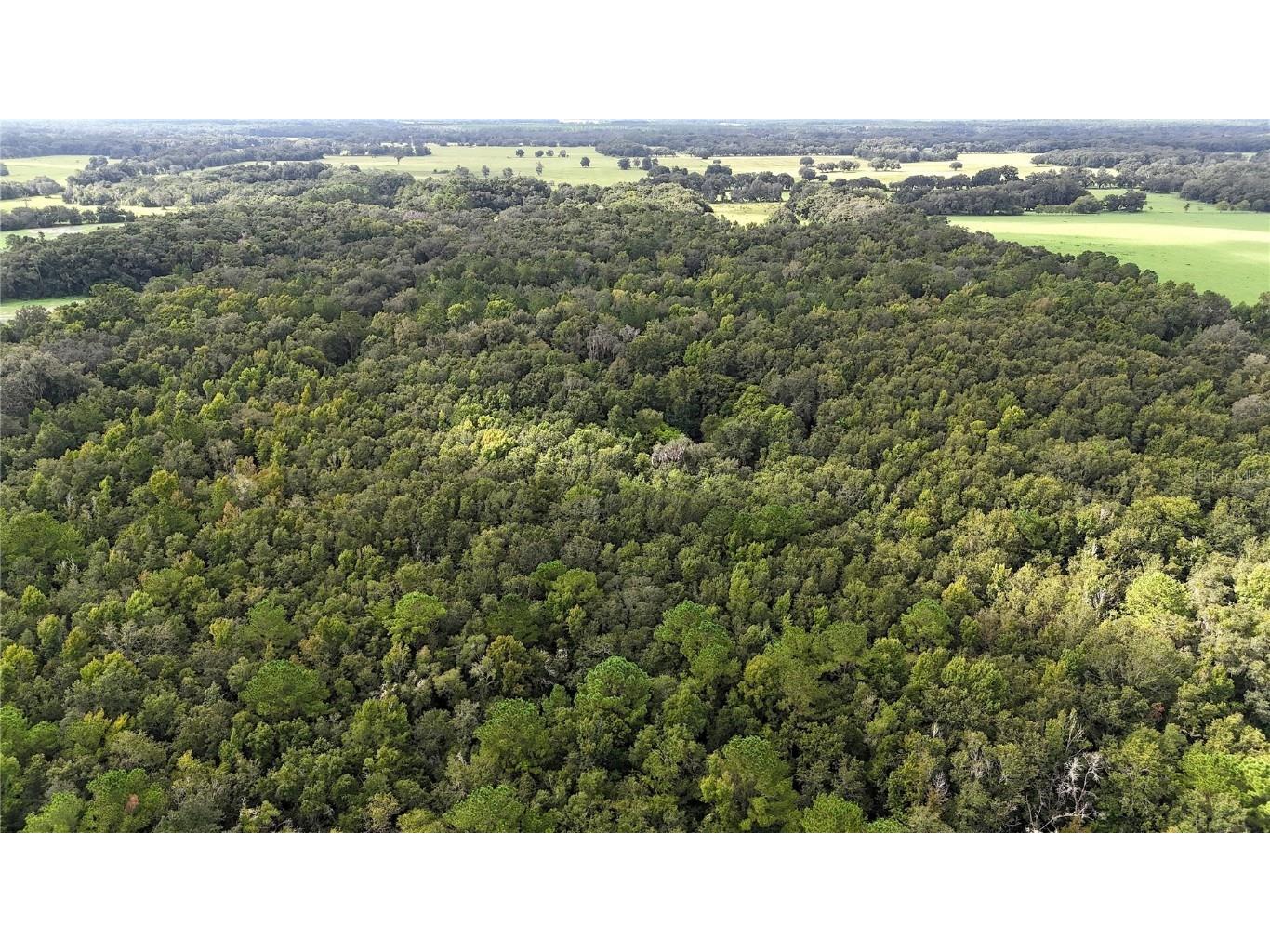 21930 & 21890 NE Highway 27 Williston FL 32696 OM694605 image19