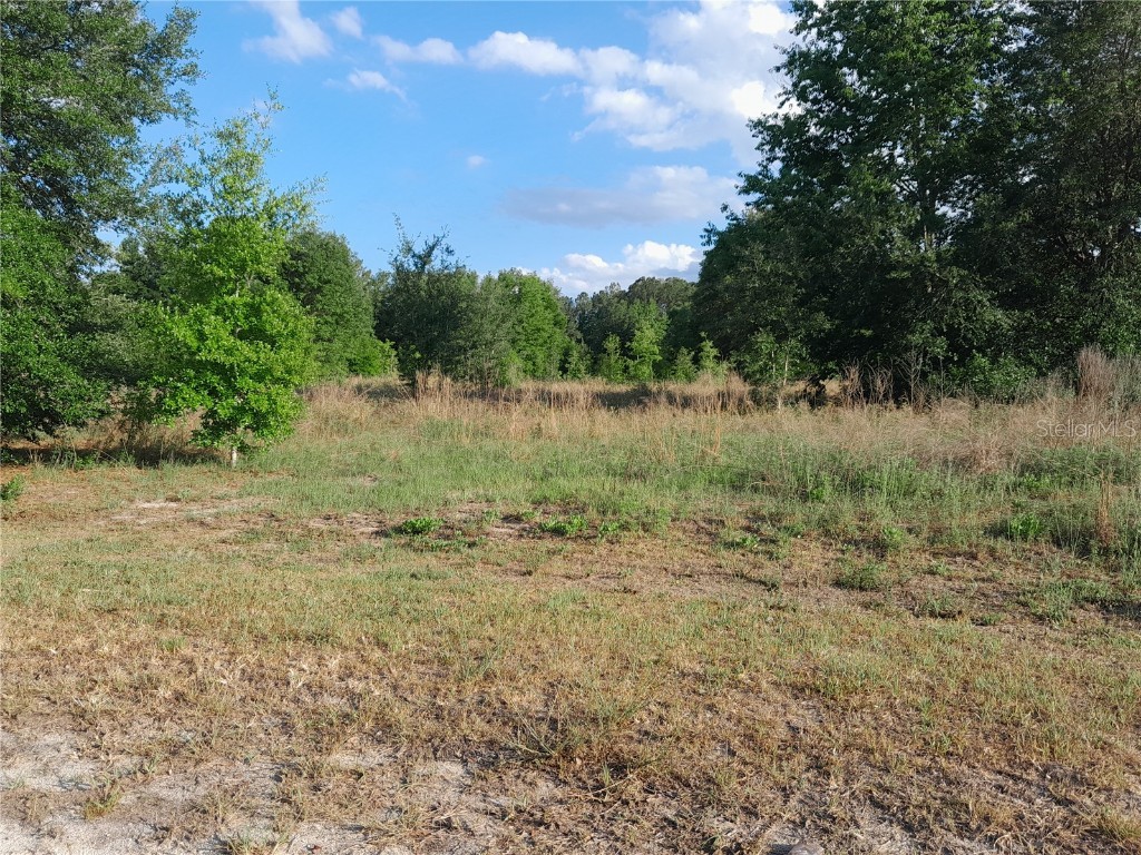 21930 SE 60th Lane Morriston FL 32668 OM700826 image1