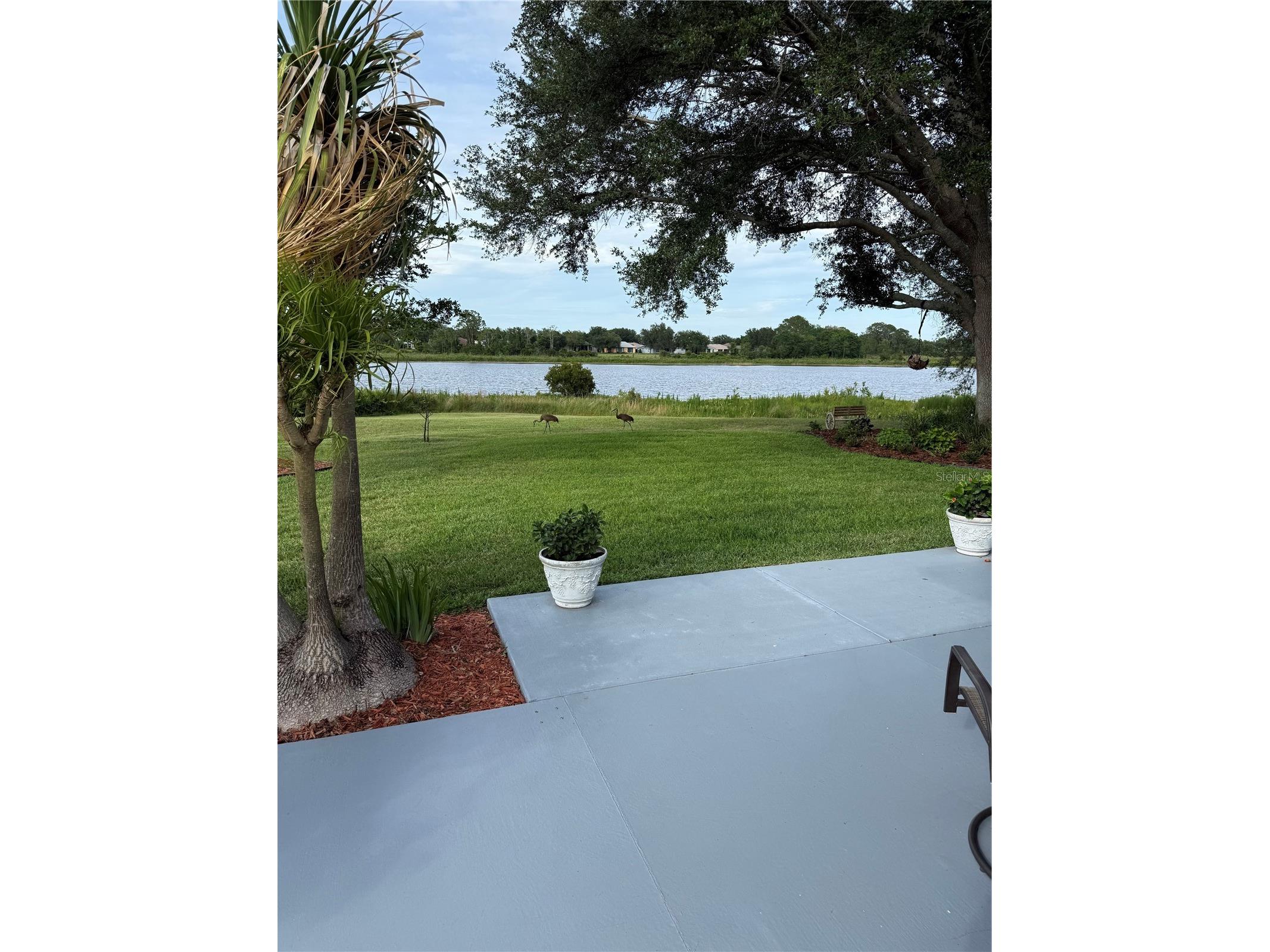 21932 Royal St Georges Lane Leesburg FL 34748 - Crown Lake G5113605 image8