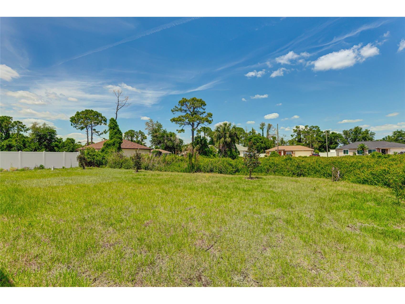 2194 Brancusi Avenue North Port FL 34288 C7527964 image5