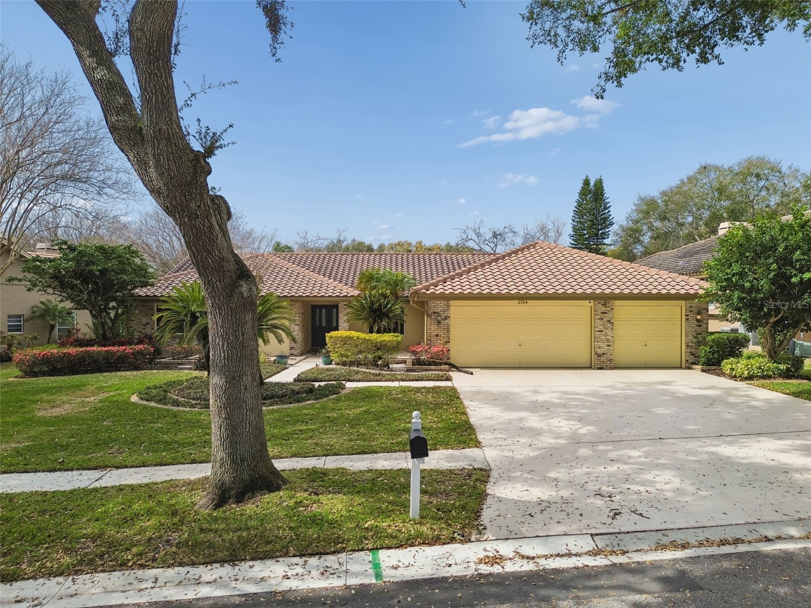 2194 Pinnacle Circle N Palm Harbor FL 34684 TB8478400 image69