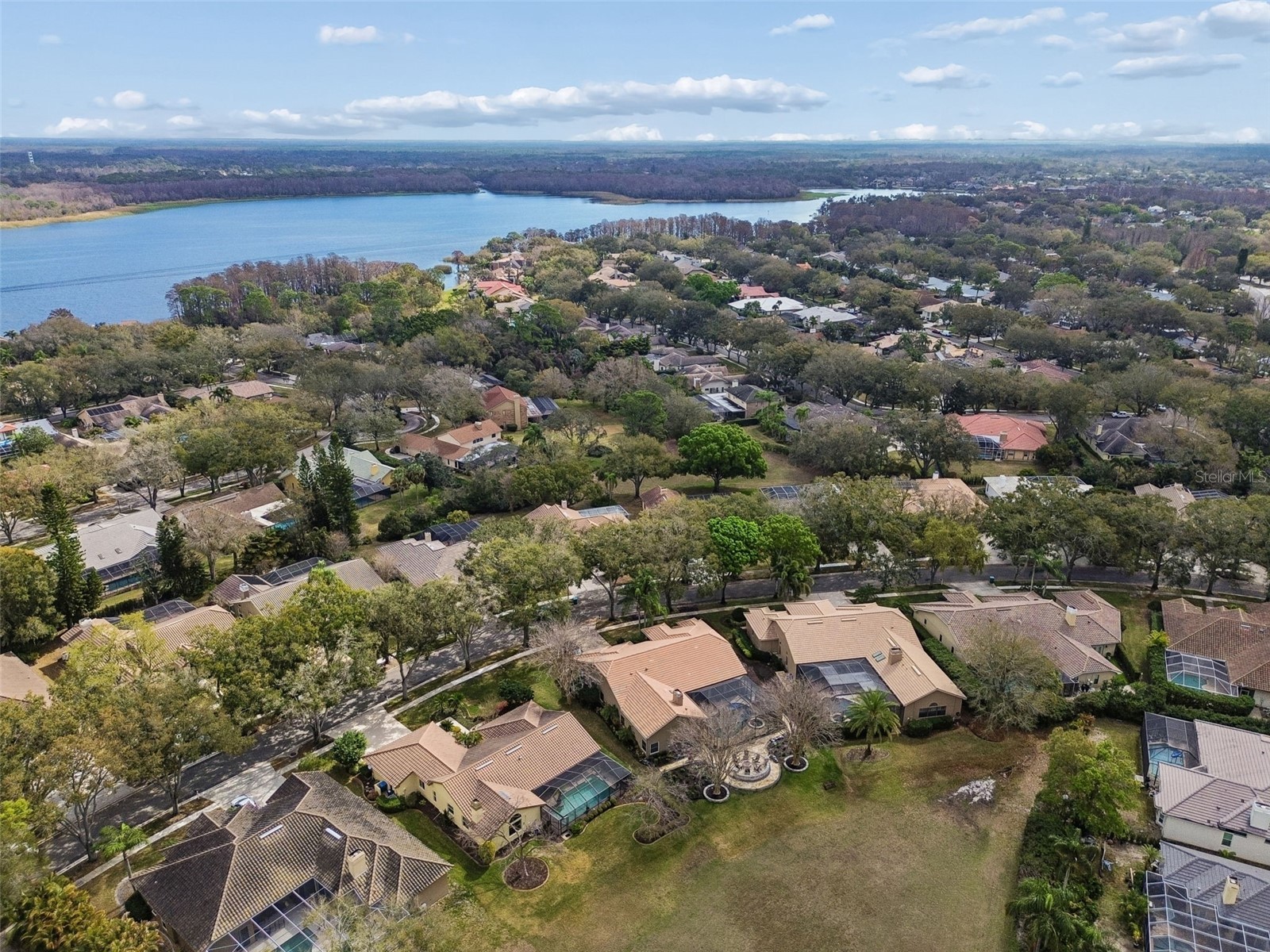 2194 Pinnacle Circle N Palm Harbor FL 34684 TB8478400 image76