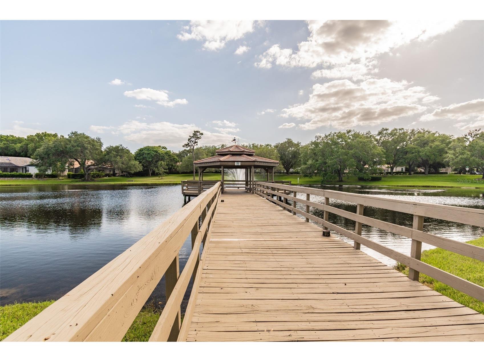 2194 Pinnacle Circle N Palm Harbor FL 34684 TB8478400 image85