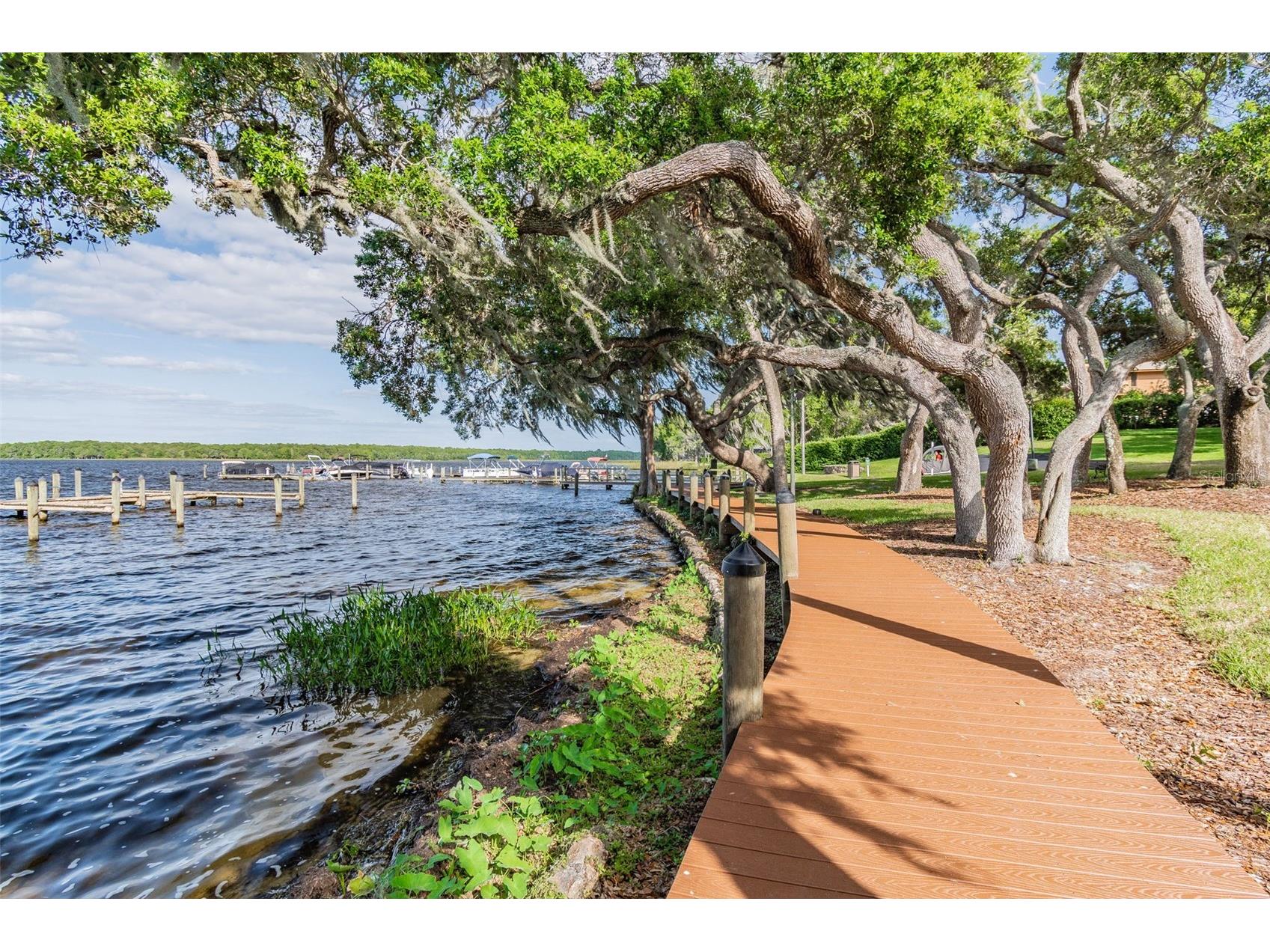 2194 Pinnacle Circle N Palm Harbor FL 34684 TB8478400 image86