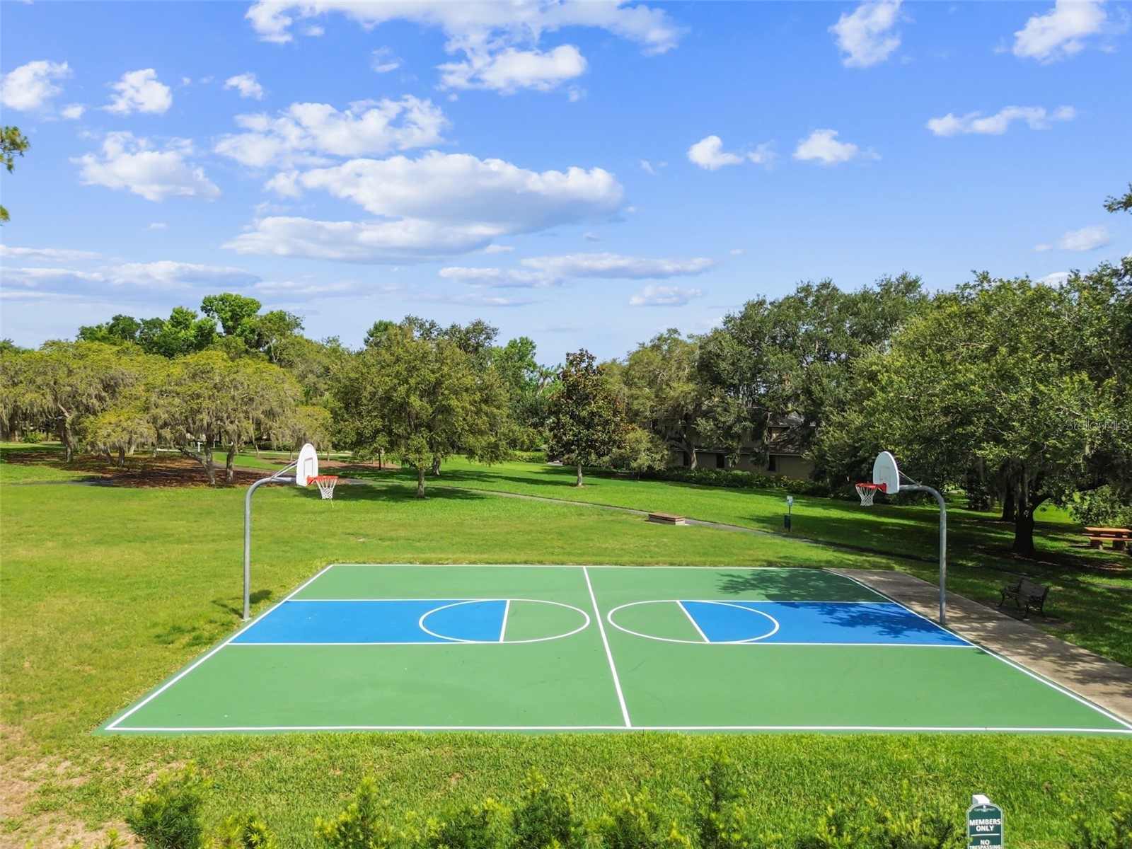 2194 Pinnacle Circle N Palm Harbor FL 34684 TB8478400 image88