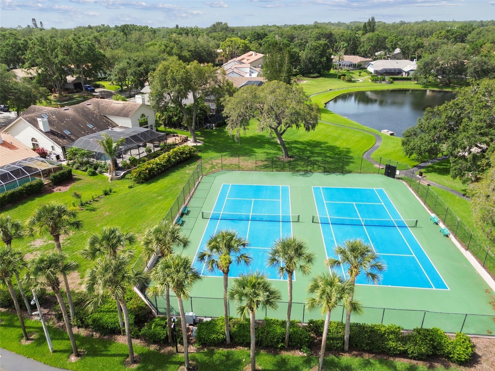 2194 Pinnacle Circle N Palm Harbor FL 34684 TB8478400 image89