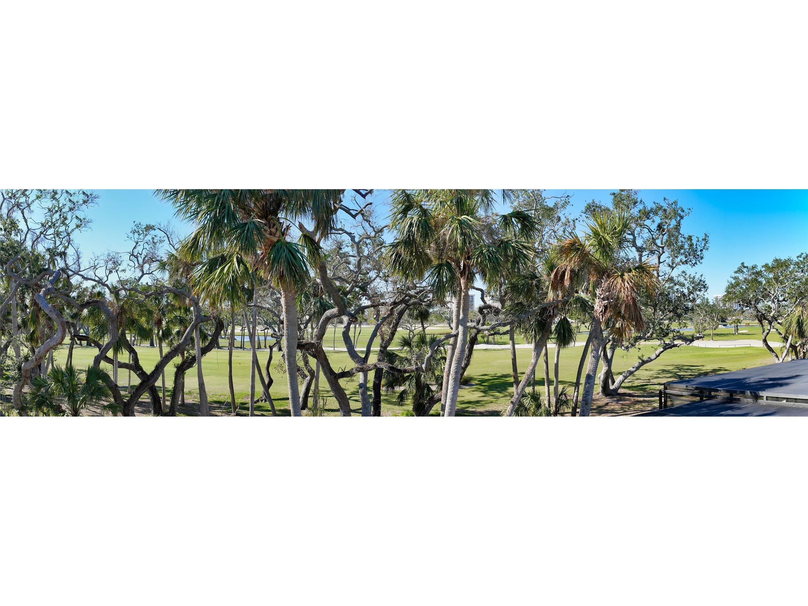 2195 Harbourside Drive #404 Longboat Key FL 34228 - GULF OF MEXICO A4635715 image37
