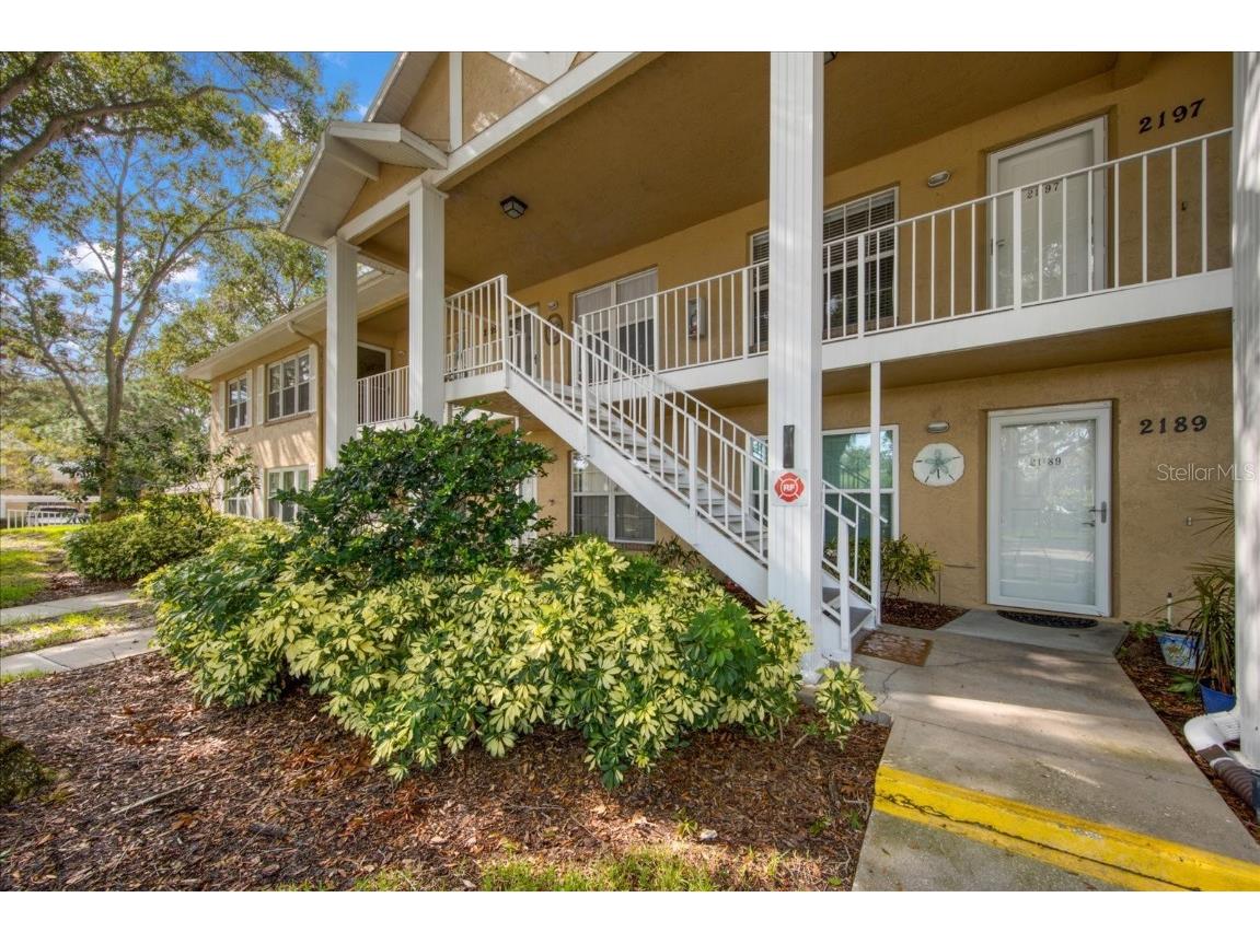 2195 Masters Court Dunedin FL 34698 U8214364 image1