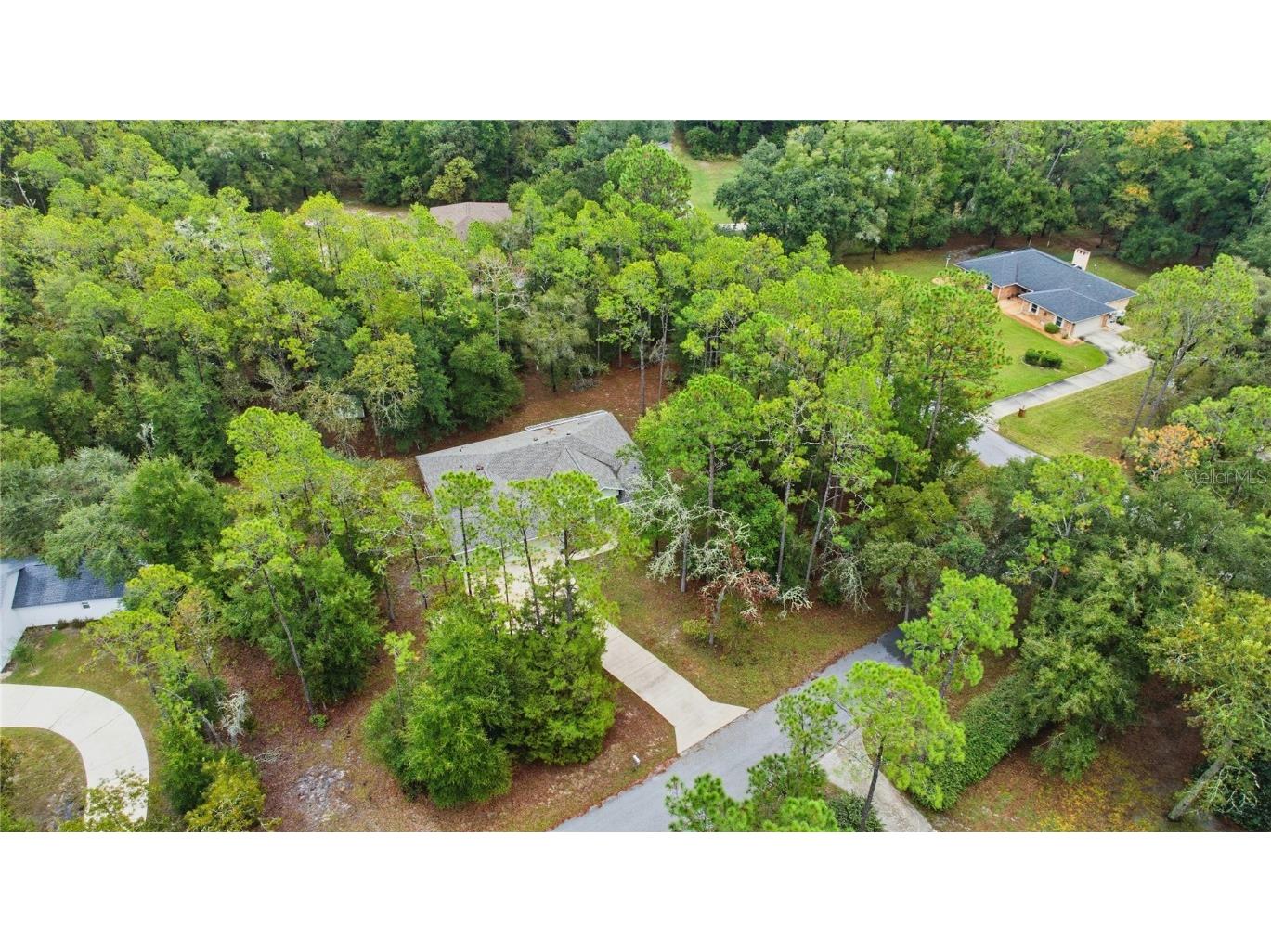 21956 SW 85th Loop Dunnellon FL 34431 - RAINBOW RIVER PRIVATE RESIDENT OM711702 image1