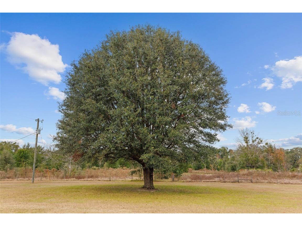 21959 NW 6th Street Dunnellon FL 34431 OM691723 image61