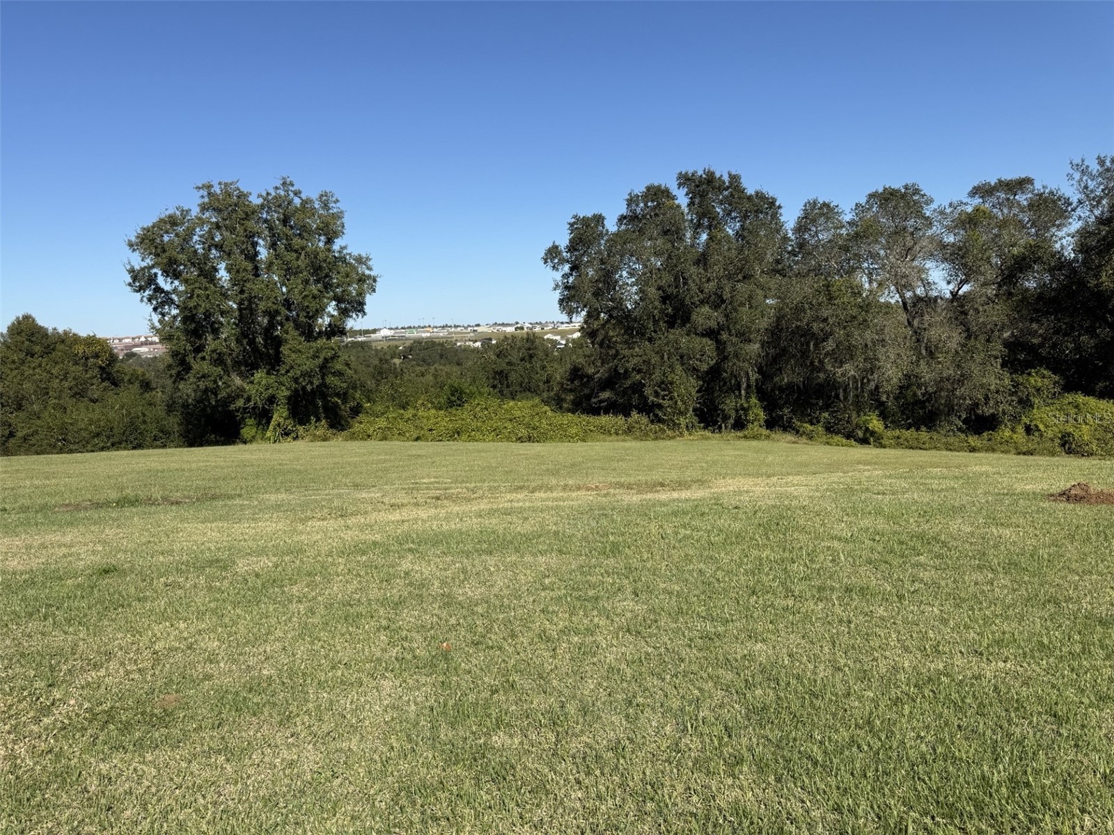 2196 Cedar Springs Way Clermont FL 34715 O6358016 image3