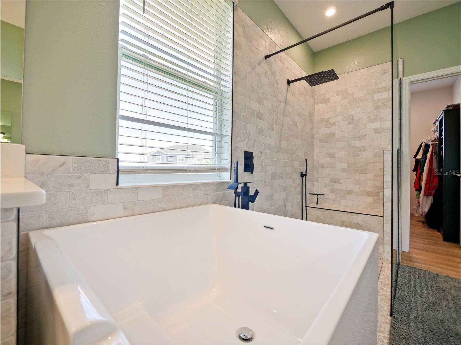 2196 Cedar Springs Way Clermont FL 34715 O6358016 image41