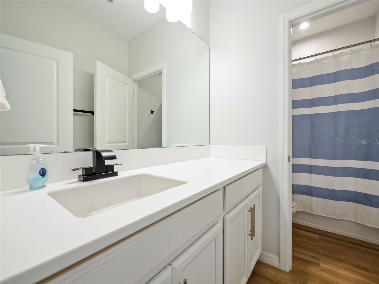 2196 Cedar Springs Way Clermont FL 34715 O6358016 image62