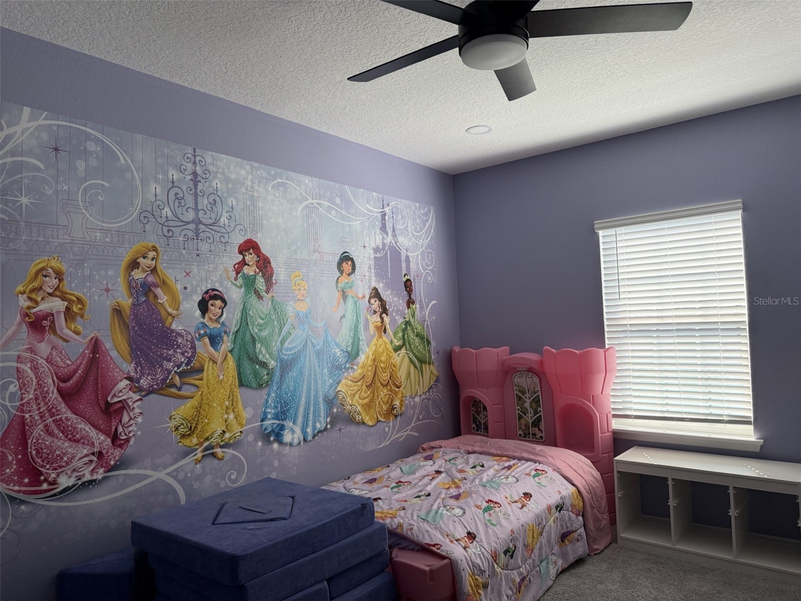 2196 Cedar Springs Way Clermont FL 34715 O6358016 image71