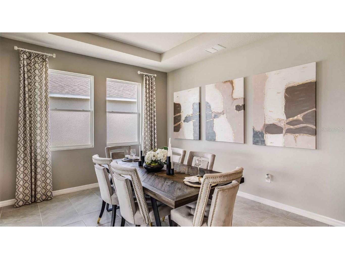 2197 Sienna Spruce Street Wesley Chapel FL 33543 TB8458200 image9