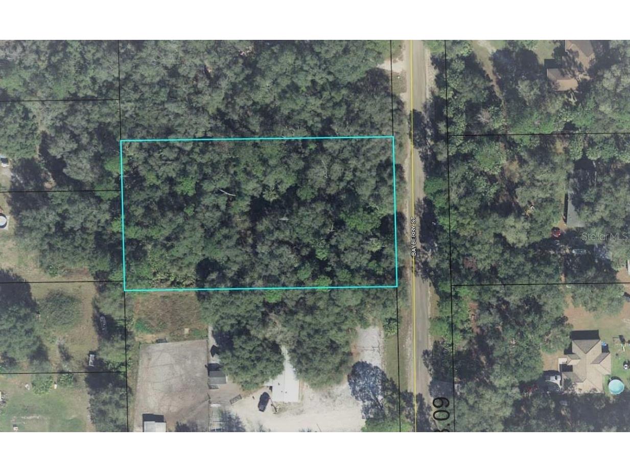 2198 Bayberry Street Bunnell FL 32110 FC285941 image1