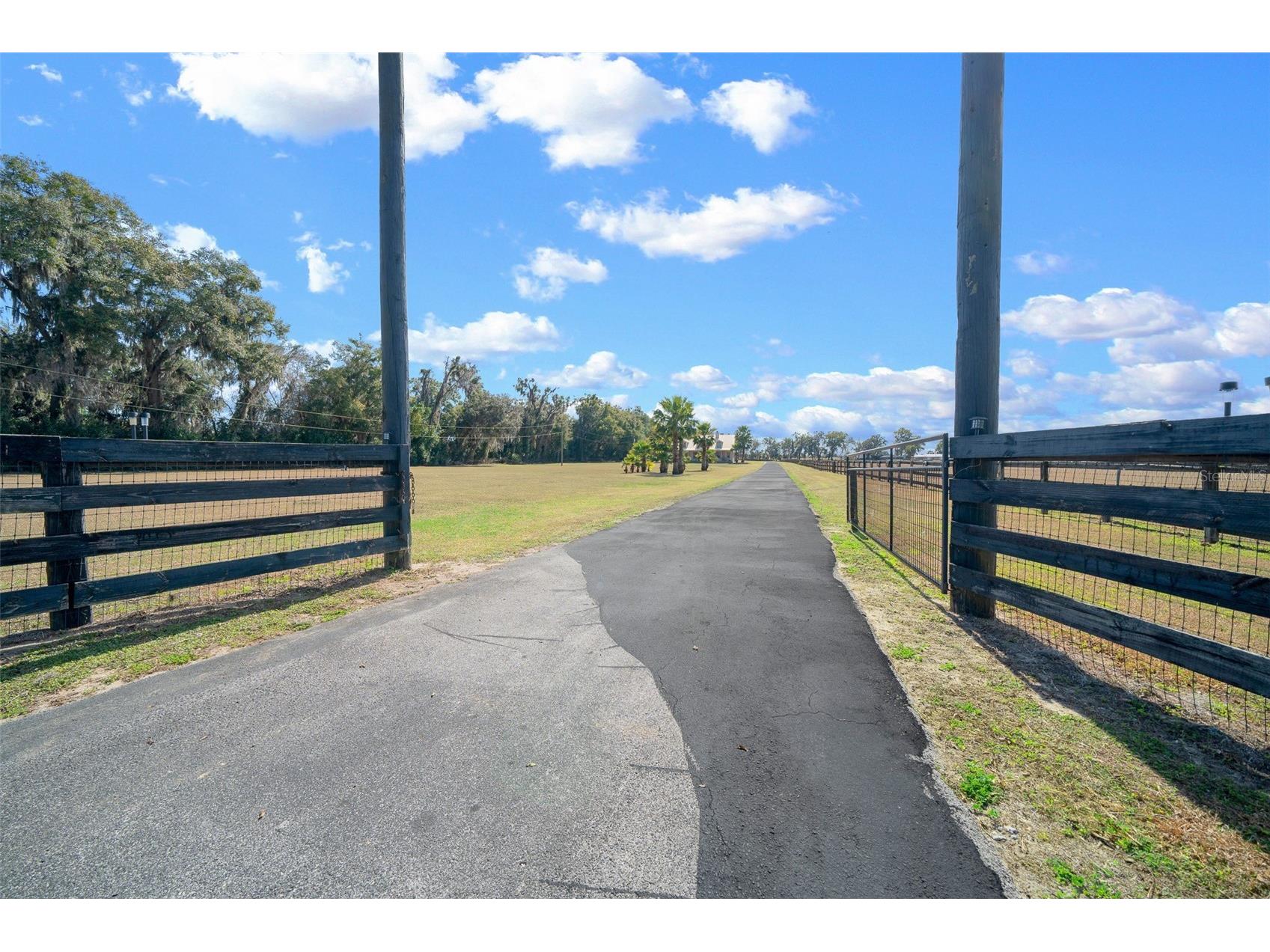 2198 W Highway 329 Citra FL 32113 OM712752 image4