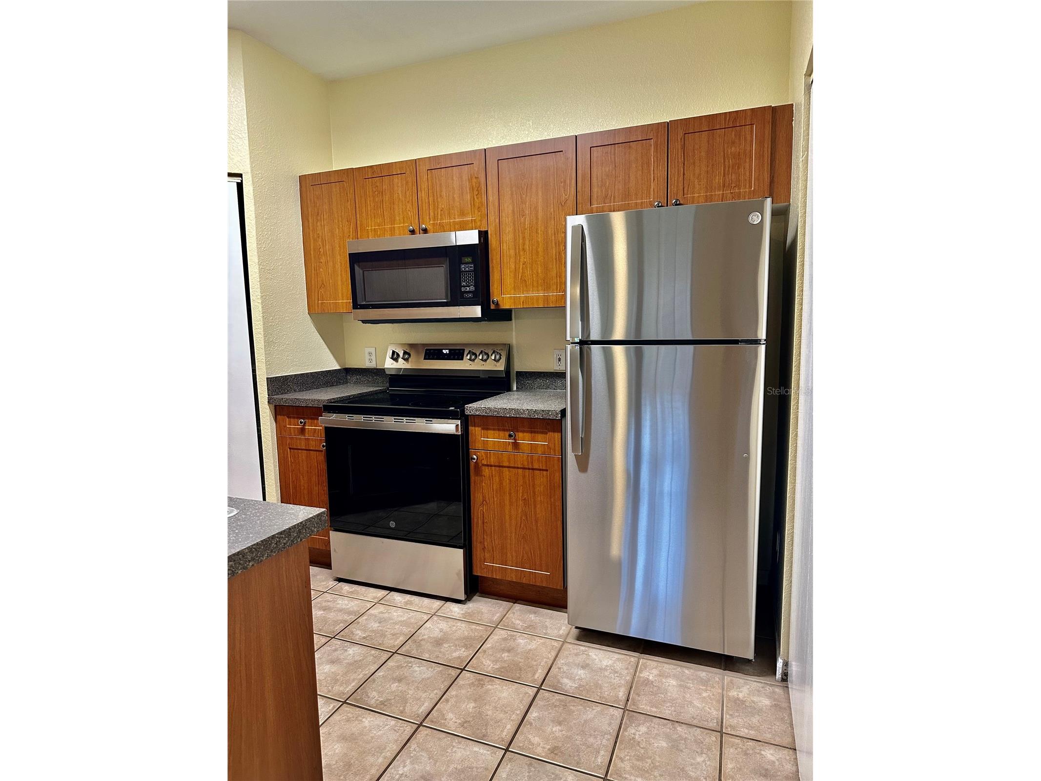 2199 Chianti Place #9-0917 Palm Harbor FL 34683 W7884943 image12