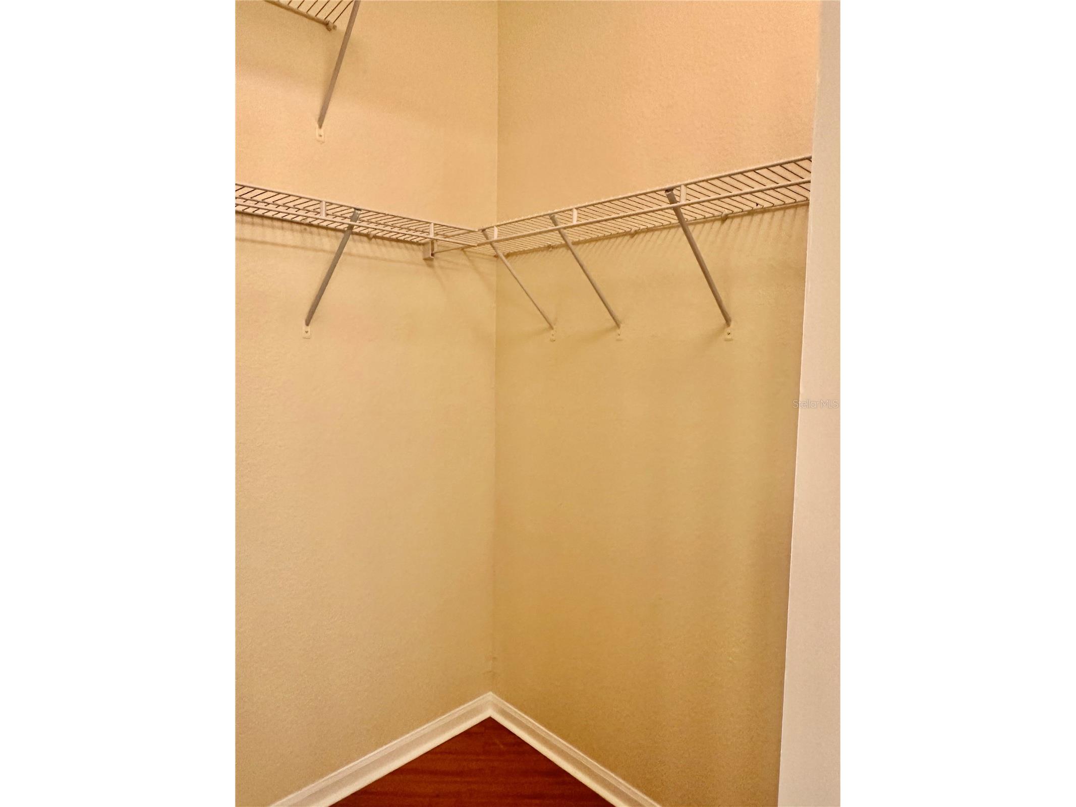 2199 Chianti Place #9-0917 Palm Harbor FL 34683 W7884943 image38