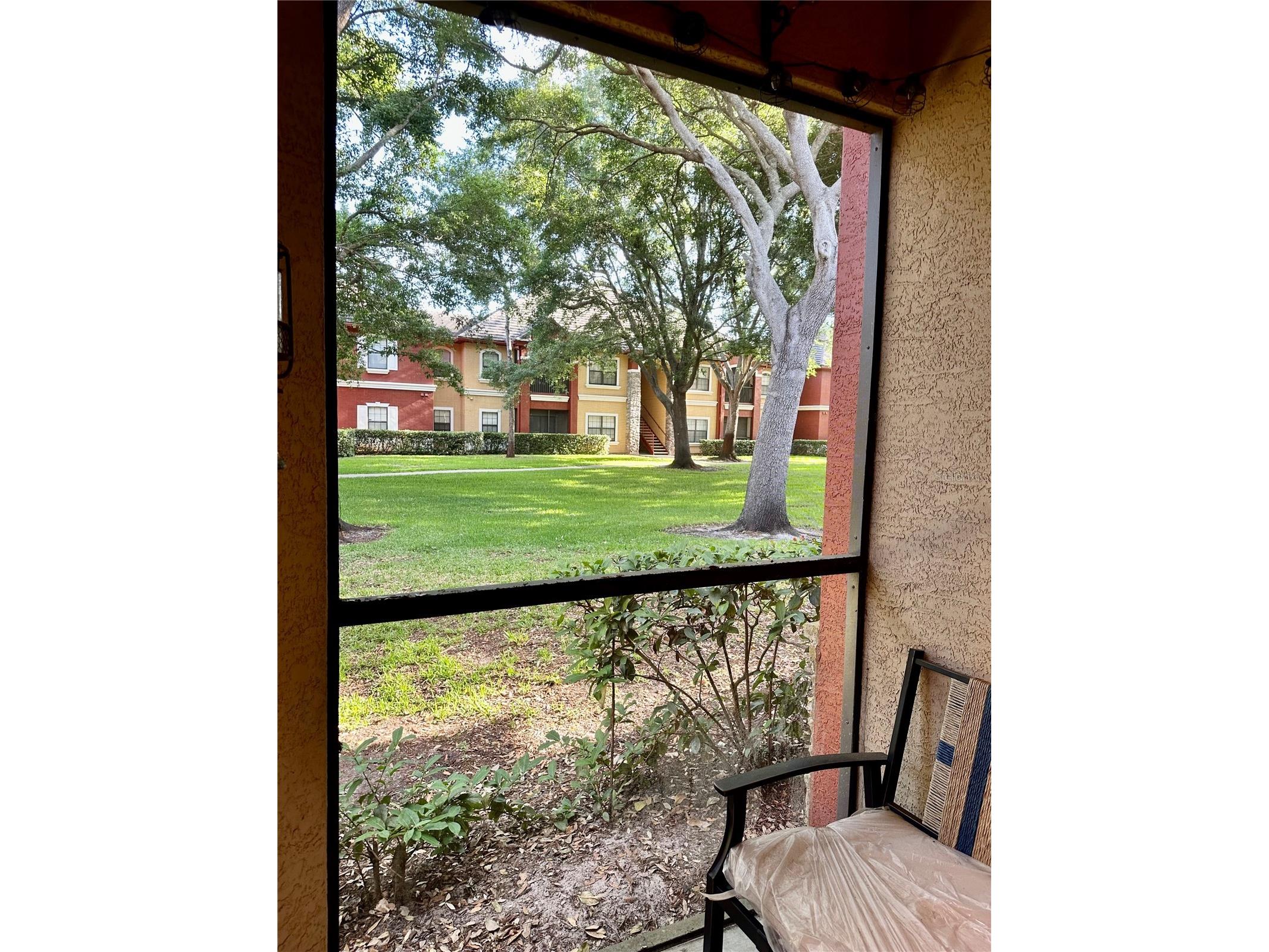 2199 Chianti Place #9-0917 Palm Harbor FL 34683 W7884943 image40