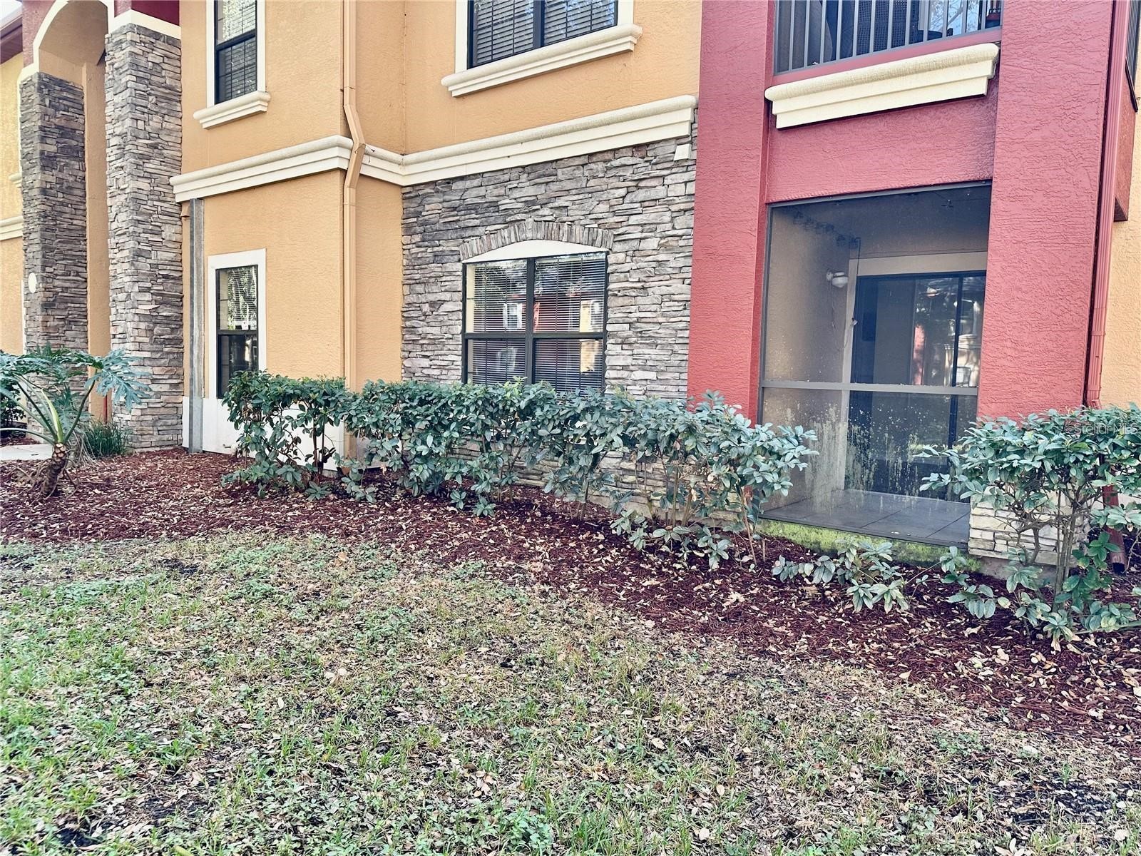 2199 Chianti Place #9-0917 Palm Harbor FL 34683 W7884943 image42