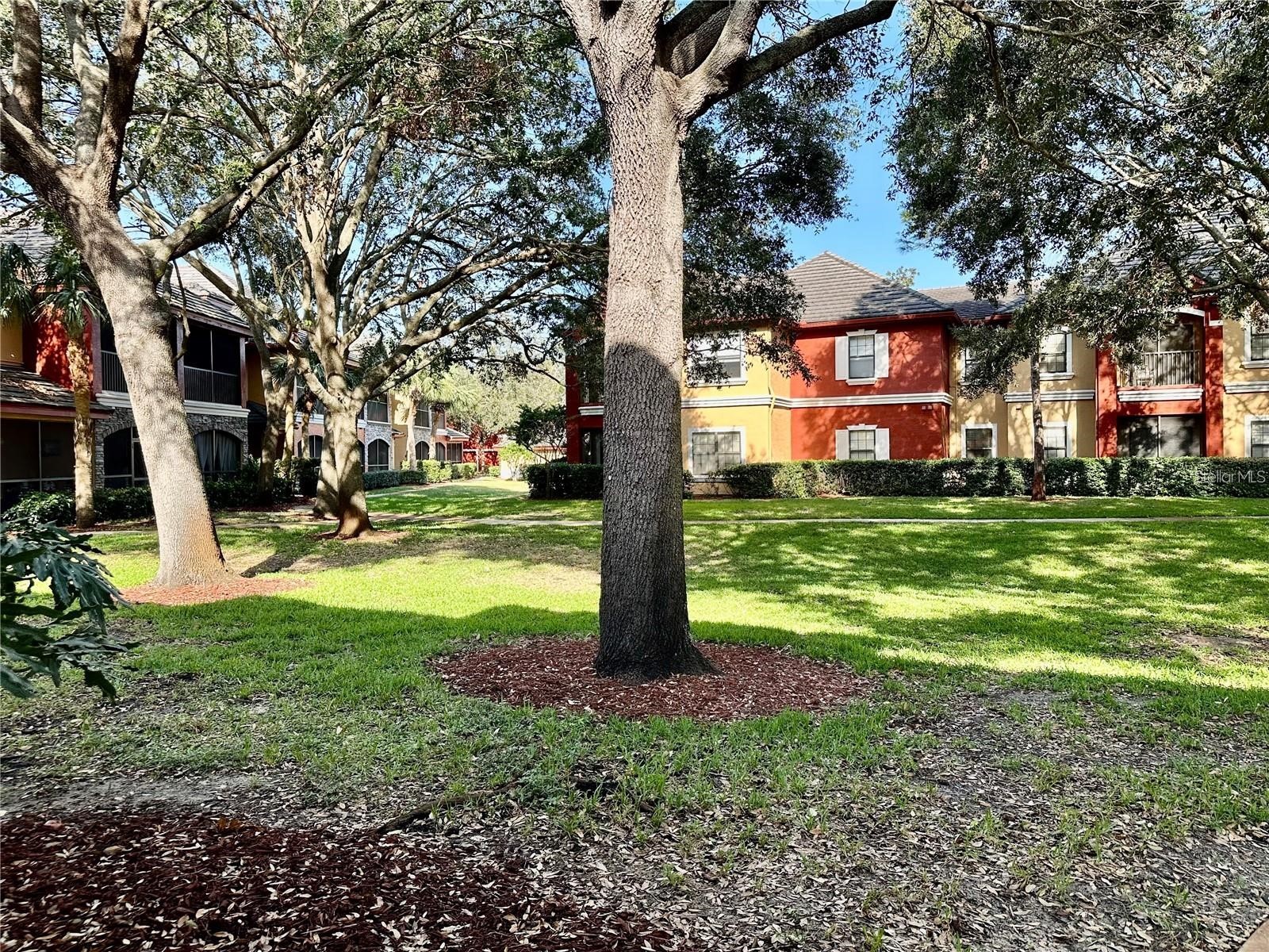2199 Chianti Place #9-0917 Palm Harbor FL 34683 W7884943 image43