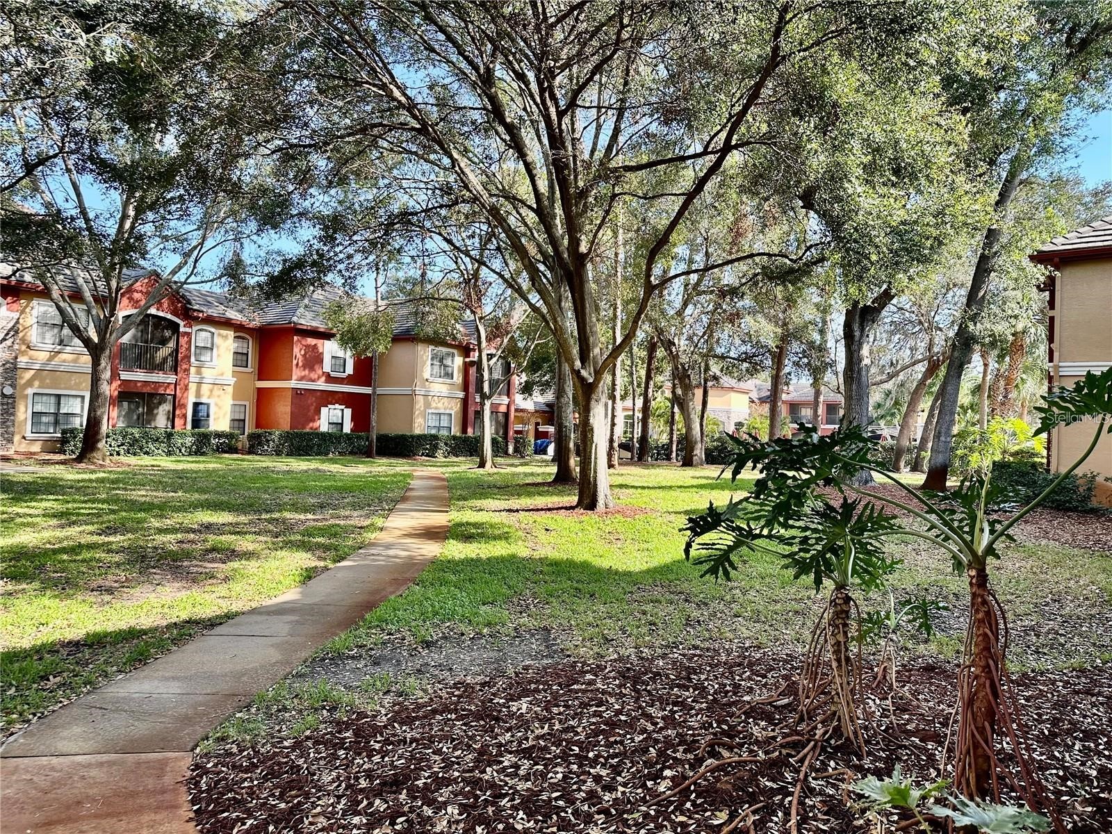 2199 Chianti Place #9-0917 Palm Harbor FL 34683 W7884943 image44