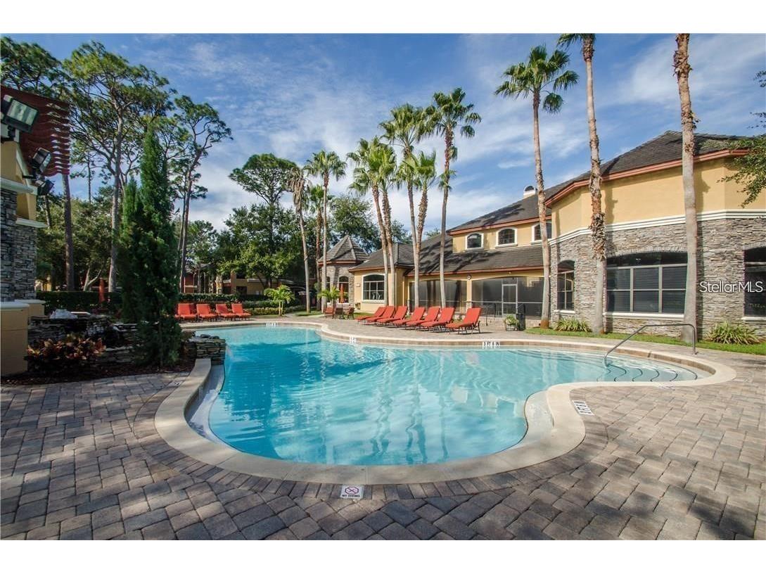 2199 Chianti Place #9-0917 Palm Harbor FL 34683 W7884943 image68