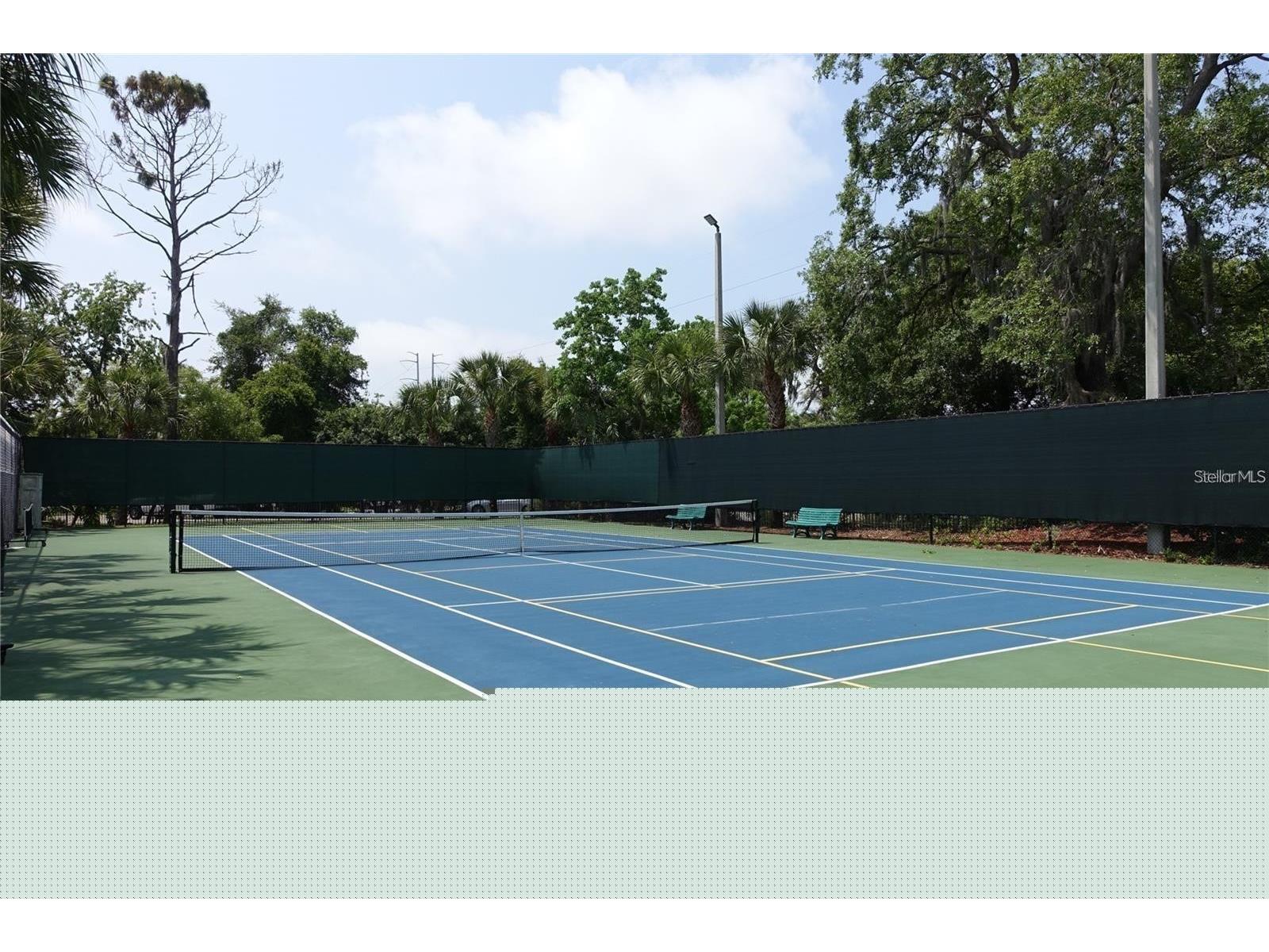 2199 Chianti Place #9-0917 Palm Harbor FL 34683 W7884943 image72