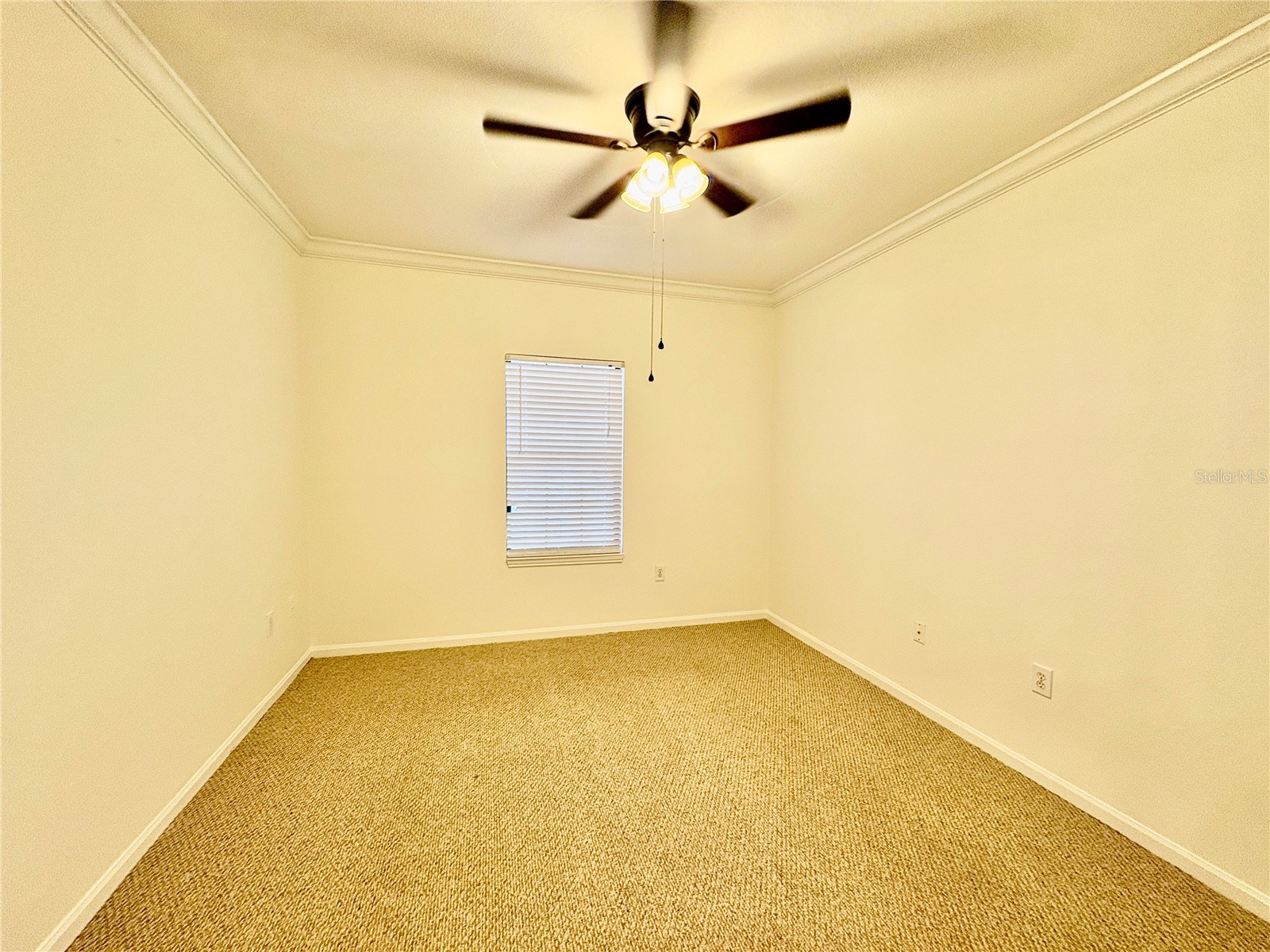 2199 Chianti Place #912 Palm Harbor FL 34683 TB8448850 image11