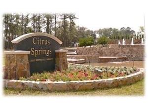 2199 W Say Drive Citrus Springs FL 34434 OM710409 image13