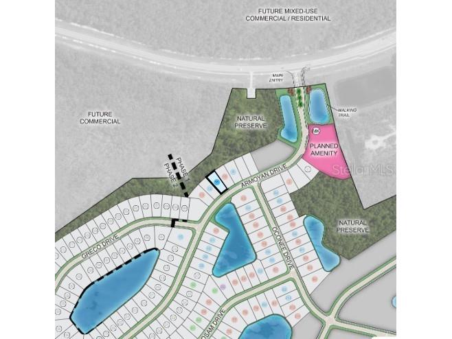 22 Armoyan Drive Palm Coast FL 32137 O6332249 image21