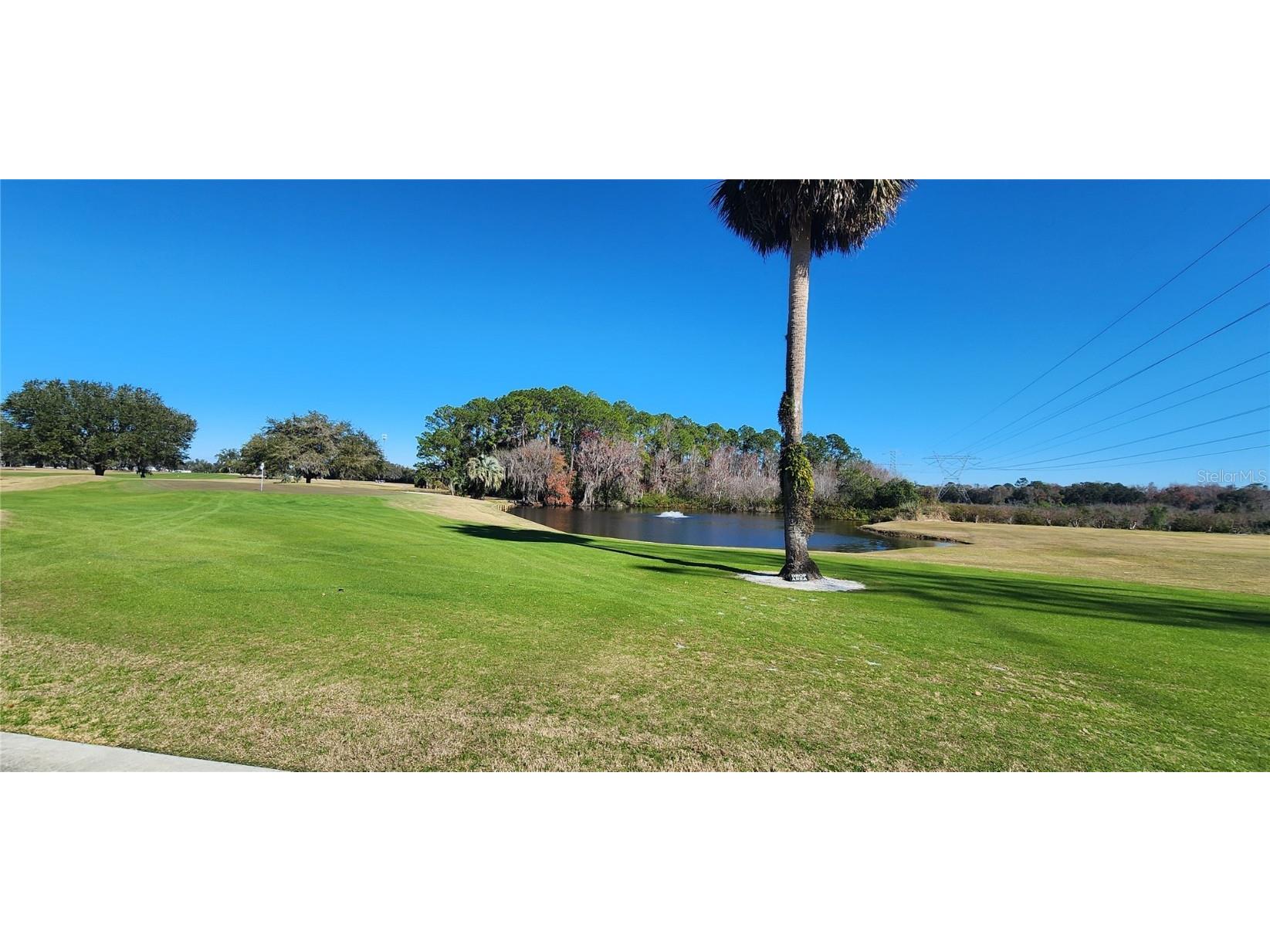 22 Big Oak Lane Wildwood FL 34785 - LAKE OKAHUMPKA G5091121 image44