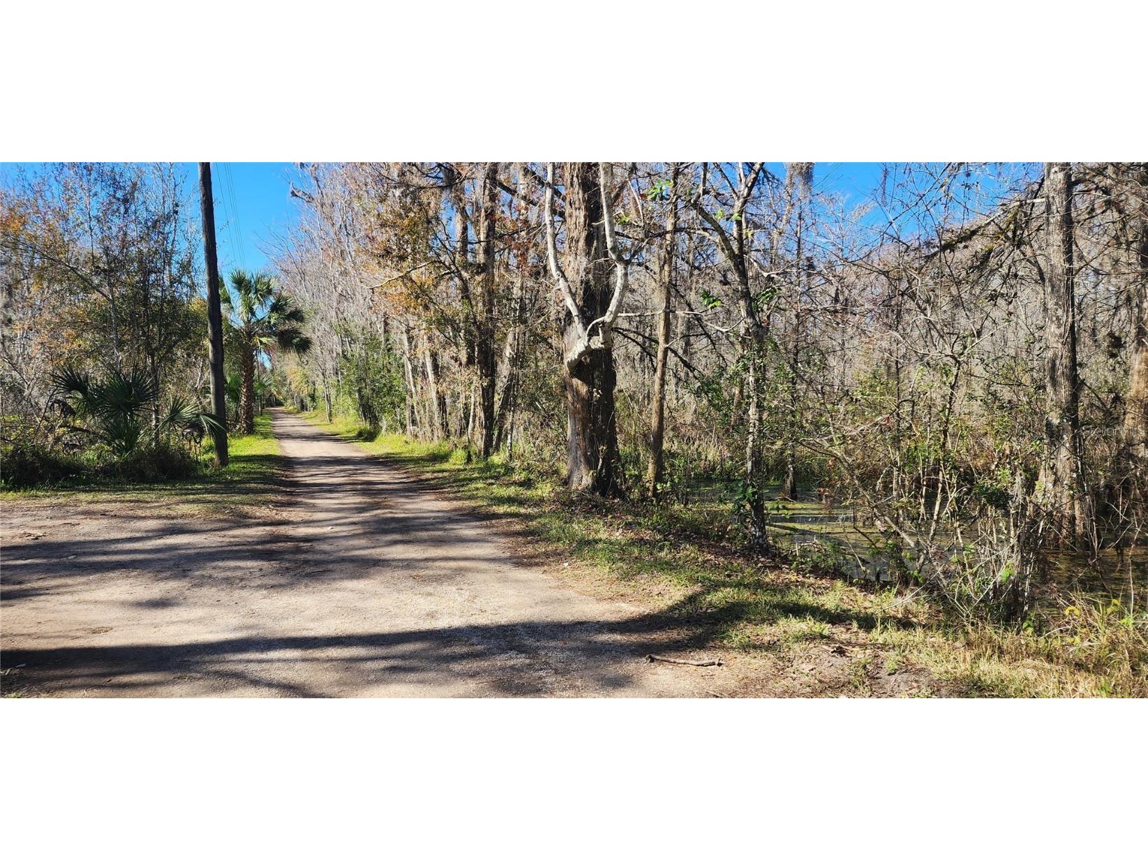 22 Big Oak Lane Wildwood FL 34785 - LAKE OKAHUMPKA G5091121 image46