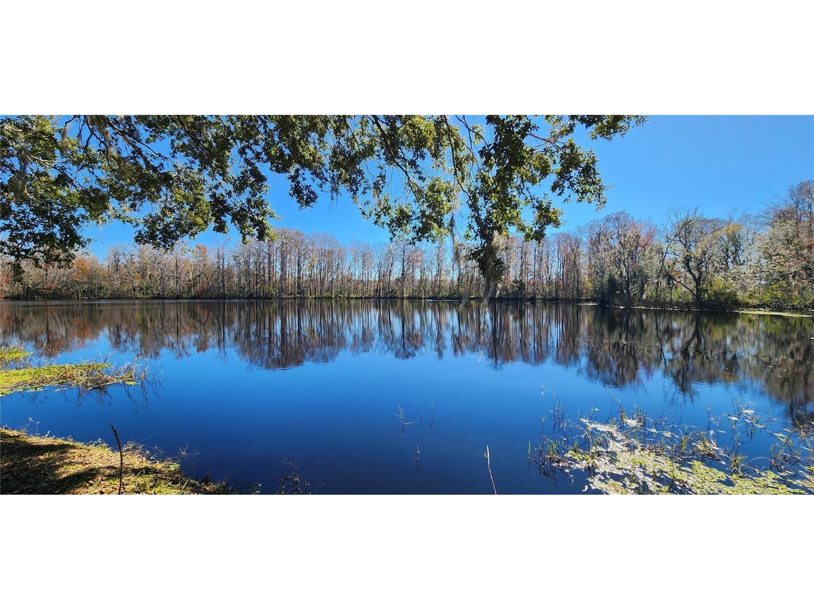 22 Big Oak Lane Wildwood FL 34785 - LAKE OKAHUMPKA G5091121 image48