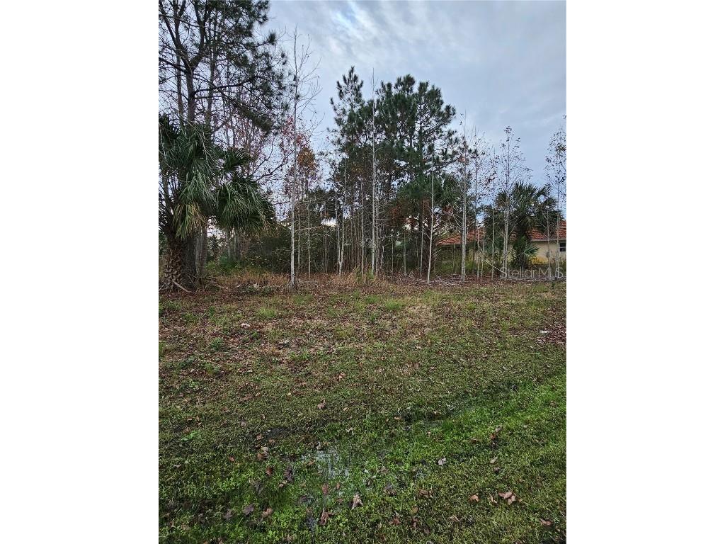 22 Burroughs Drive Palm Coast FL 32137 FC296918 image1