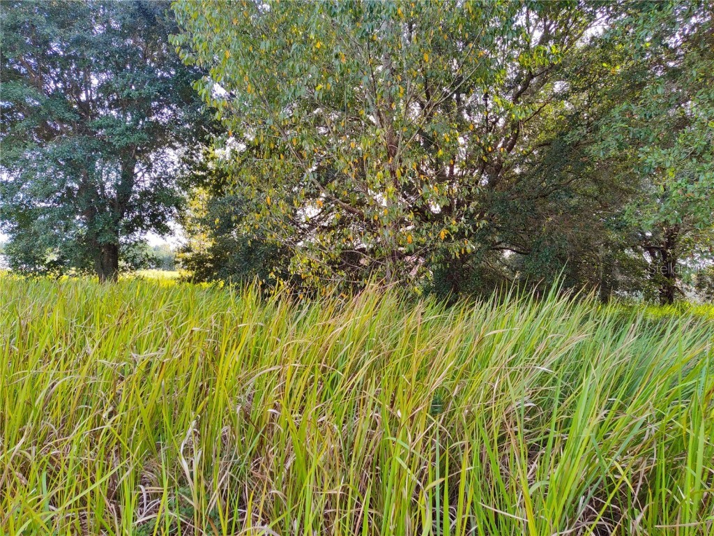 22 Dogwood Drive Loop Ocala FL 34472 OM628997 image1