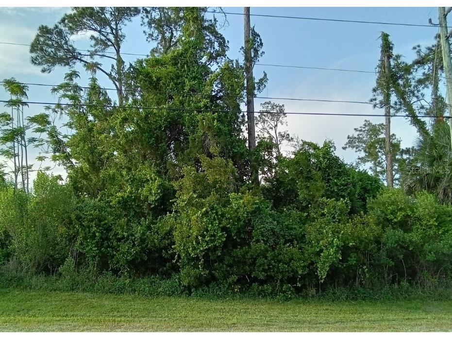 22 Eric Drive Palm Coast FL 32164 OM680002 image1