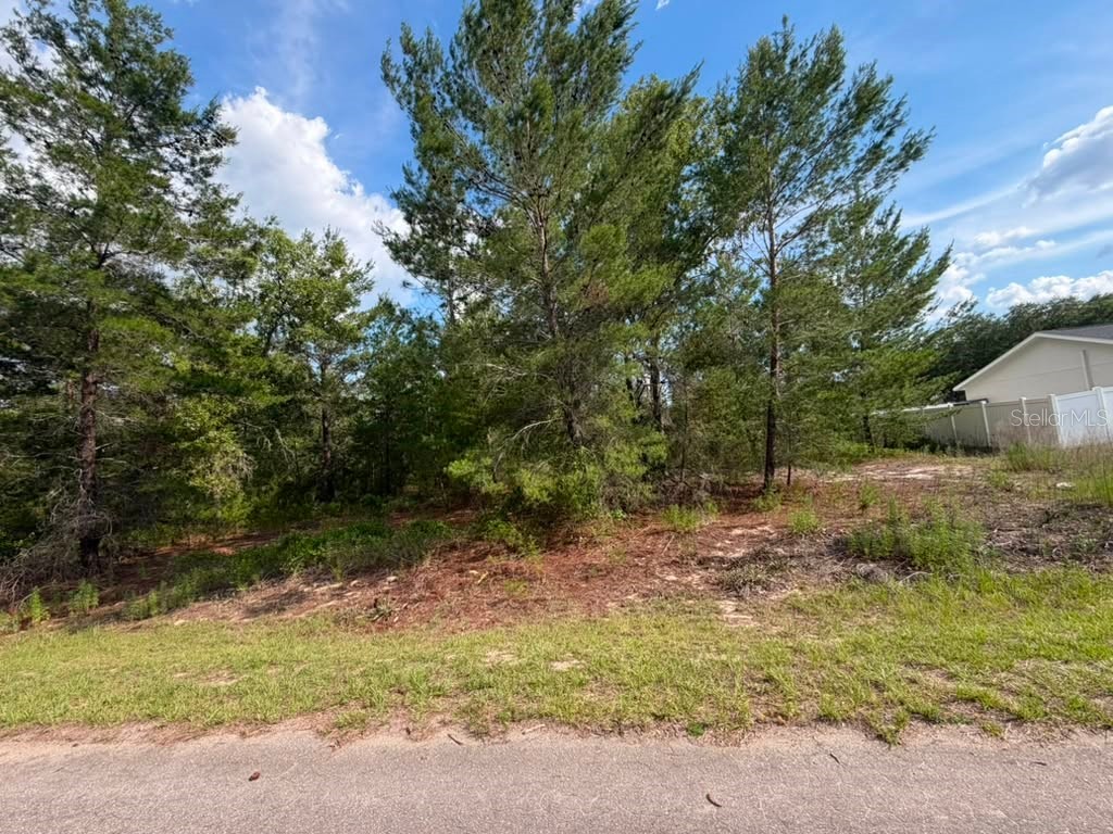22 Fisher Run Lane Ocklawaha FL 32179 O6414059 image1