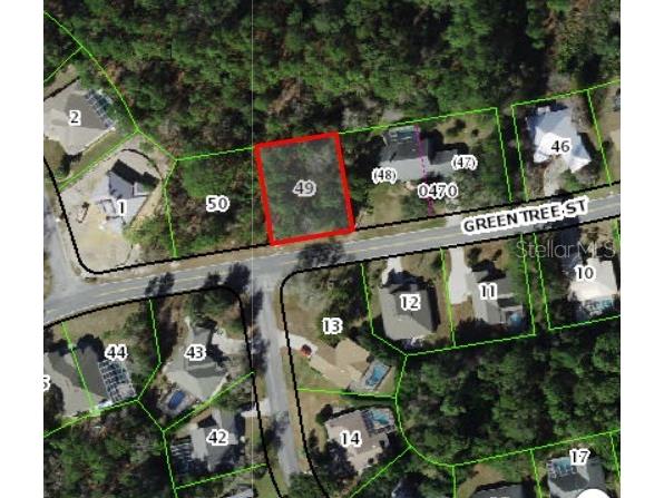 22 Greentree Street Homosassa FL 34446 TB8398331 image1
