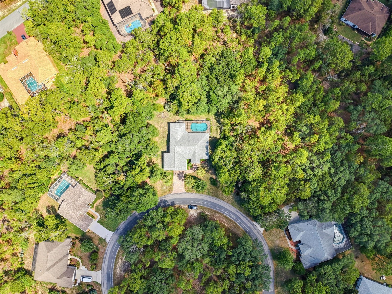 22 Grevillea Court Homosassa FL 34446 W7887528 image2