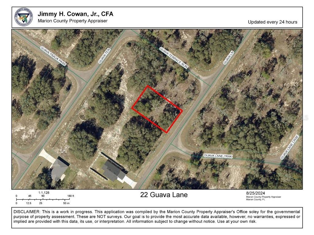 22 Guava Lane Ocklawaha FL 32179 V4938136 image1