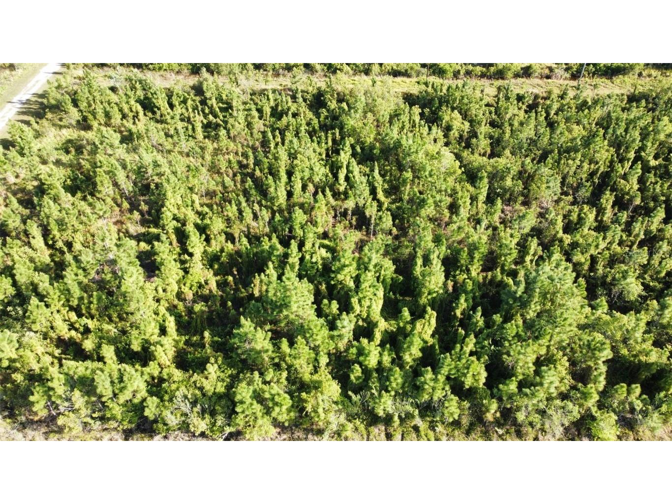 22 Laguna Drive Indian Lake Estates FL 33855 - LAKE WEOHYAKAPKA O6301280 image1