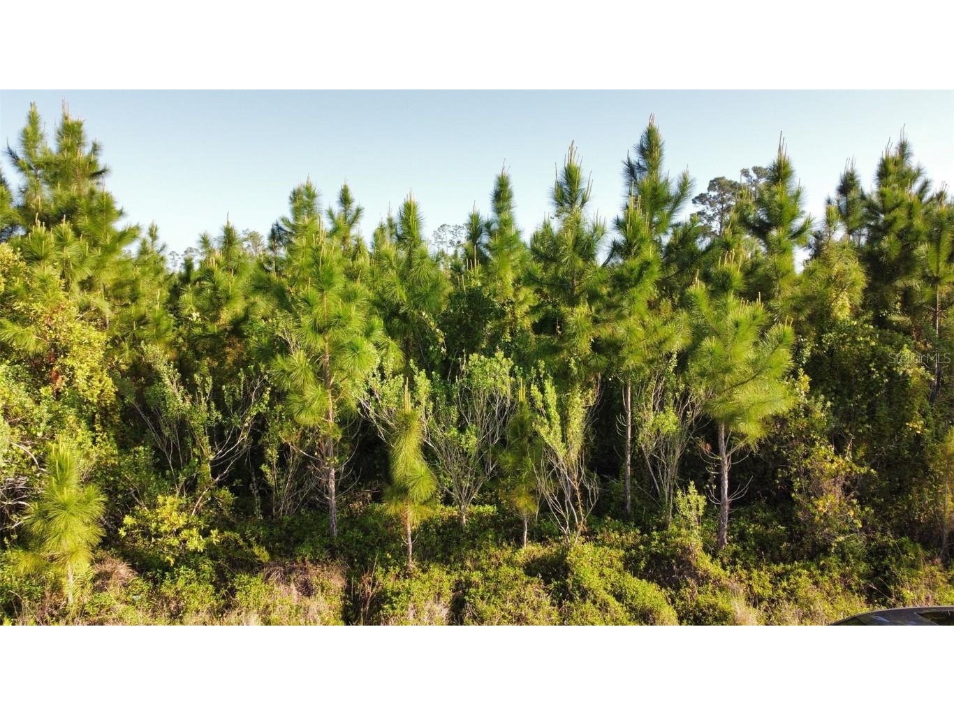 22 Laguna Drive Indian Lake Estates FL 33855 - LAKE WEOHYAKAPKA O6301280 image2